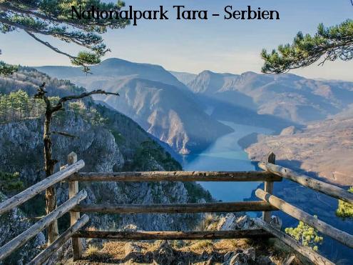 12 - Tara.jpg